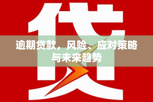 临夏逾期贷款，风险、应对策略与未来趋势