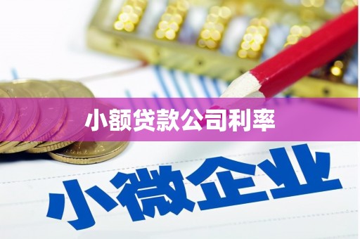 临夏小额贷款公司利率