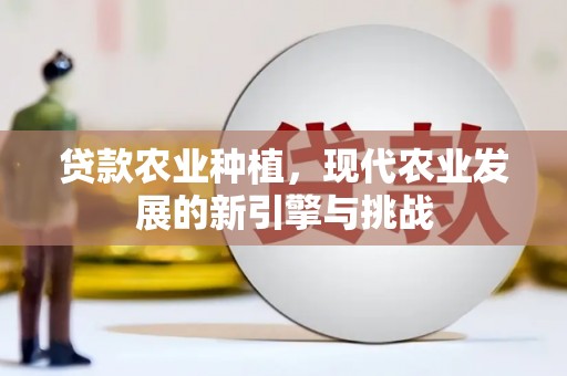 临夏贷款农业种植，现代农业发展的新引擎与挑战