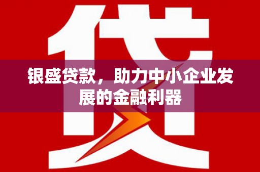 临夏银盛贷款，助力中小企业发展的金融利器