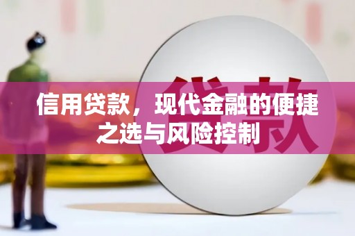 临夏信用贷款，现代金融的便捷之选与风险控制