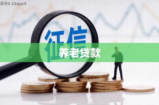 临夏养老贷款