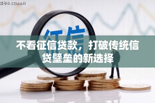 临夏不看征信贷款，打破传统信贷壁垒的新选择