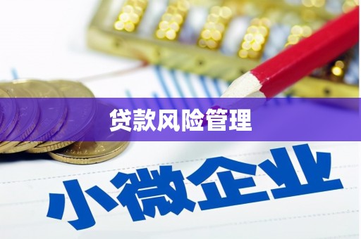 临夏贷款风险管理