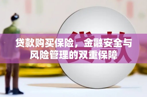 临夏贷款购买保险，金融安全与风险管理的双重保障