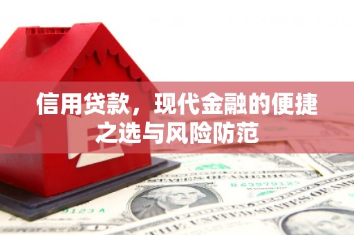 临夏信用贷款，现代金融的便捷之选与风险防范