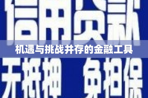 临夏机遇与挑战并存的金融工具