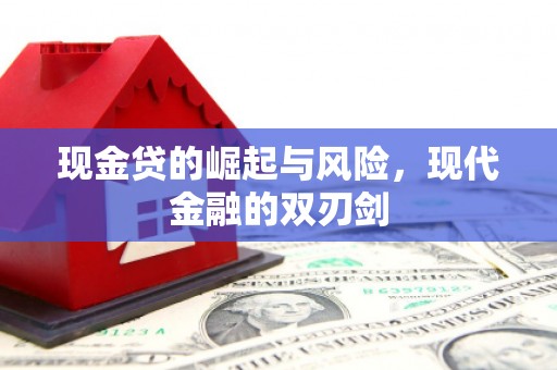 临夏现金贷的崛起与风险，现代金融的双刃剑