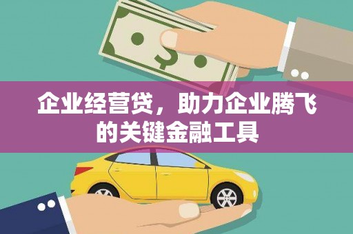 临夏企业经营贷，助力企业腾飞的关键金融工具
