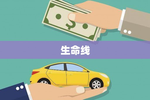 临夏生命线