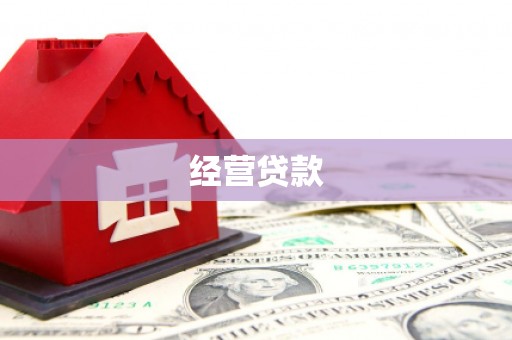 临夏经营贷款