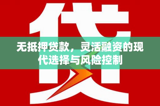 临夏无抵押贷款，灵活融资的现代选择与风险控制