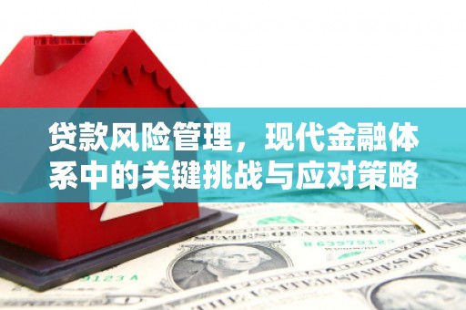 临夏贷款风险管理，现代金融体系中的关键挑战与应对策略