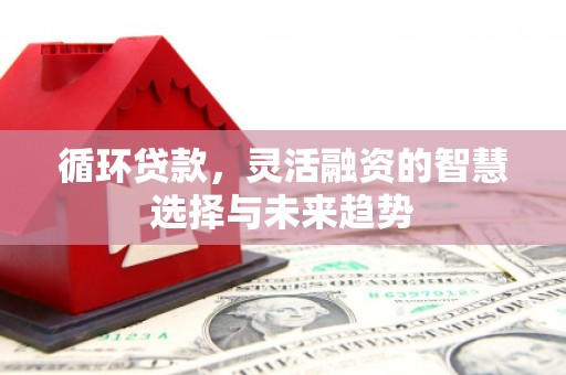 临夏循环贷款，灵活融资的智慧选择与未来趋势