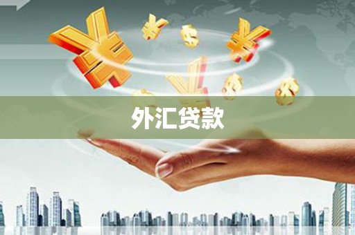 临夏外汇贷款