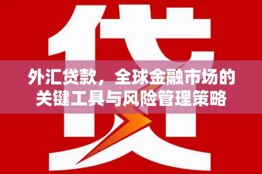 临夏外汇贷款，全球金融市场的关键工具与风险管理策略