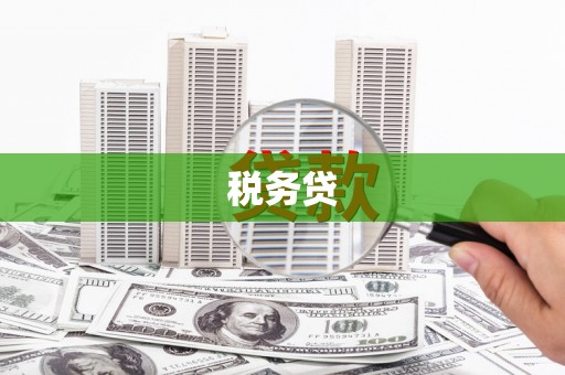 临夏税务贷