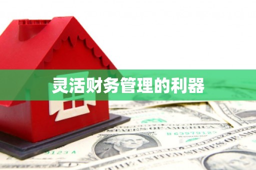 临夏灵活财务管理的利器