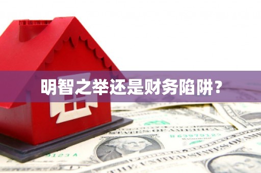 临夏明智之举还是财务陷阱？