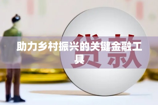 临夏助力乡村振兴的关键金融工具