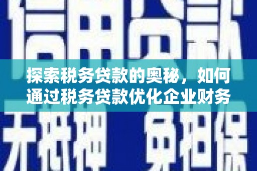 临夏探索税务贷款的奥秘，如何通过税务贷款优化企业财务