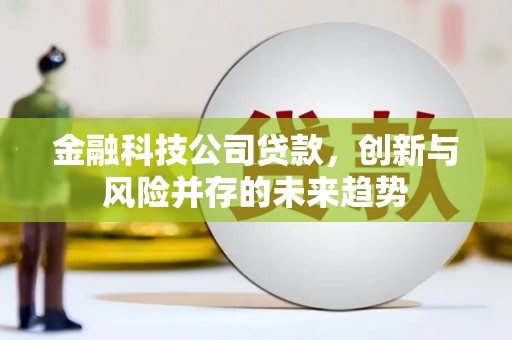 临夏金融科技公司贷款，创新与风险并存的未来趋势