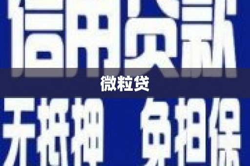 临夏微粒贷