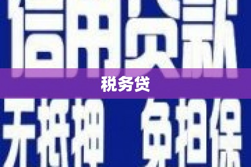 临夏税务贷