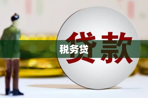 临夏税务贷