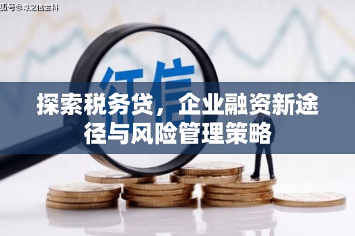 临夏探索税务贷，企业融资新途径与风险管理策略