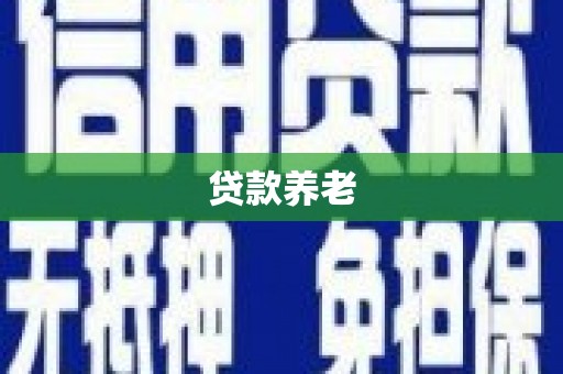 临夏贷款养老