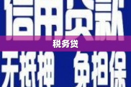 临夏税务贷