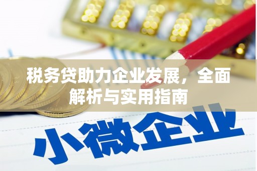 临夏税务贷助力企业发展，全面解析与实用指南