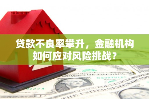 临夏贷款不良率攀升，金融机构如何应对风险挑战？