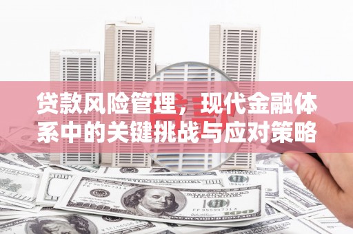 临夏贷款风险管理，现代金融体系中的关键挑战与应对策略