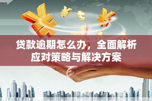 临夏贷款逾期怎么办，全面解析应对策略与解决方案