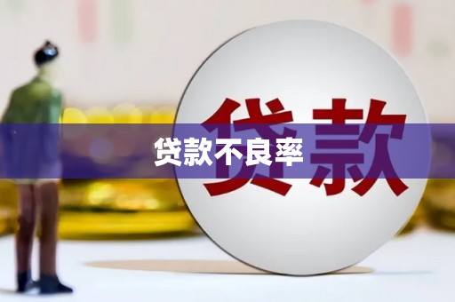 临夏贷款不良率