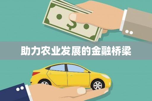临夏助力农业发展的金融桥梁