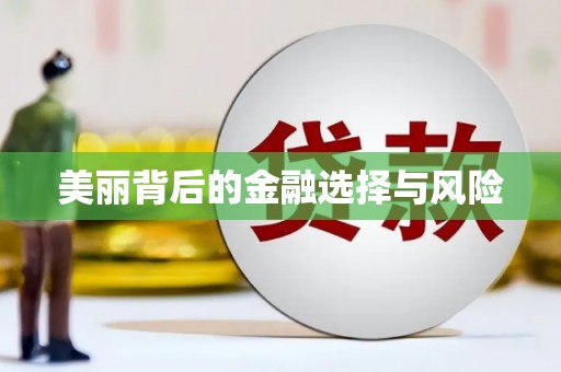 临夏美丽背后的金融选择与风险