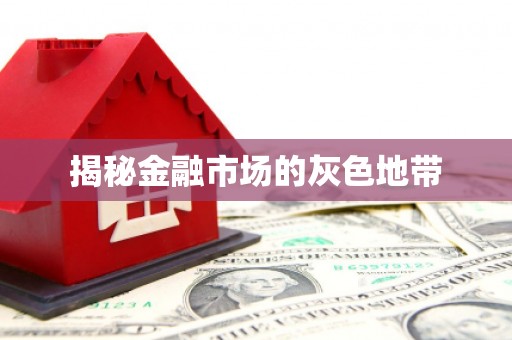 临夏揭秘金融市场的灰色地带