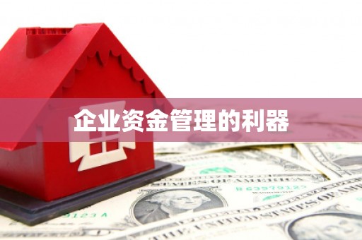 临夏企业资金管理的利器