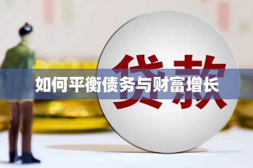 临夏如何平衡债务与财富增长