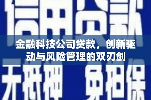 临夏金融科技公司贷款，创新驱动与风险管理的双刃剑