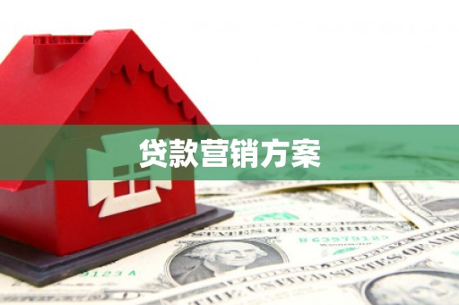 临夏贷款营销方案